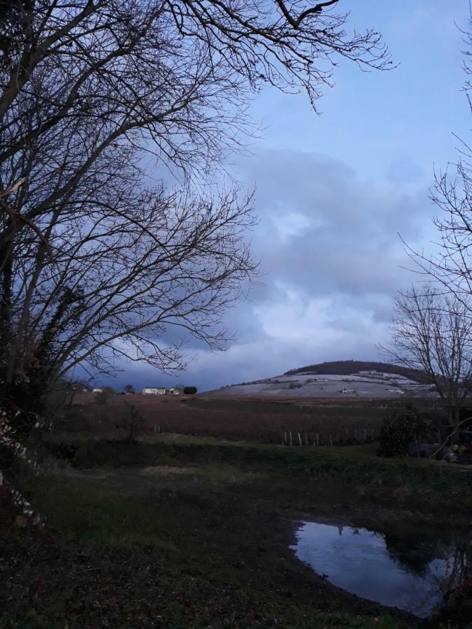 La Maison Des Vignes Charentay Εξωτερικό φωτογραφία