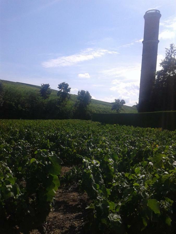 La Maison Des Vignes Charentay Εξωτερικό φωτογραφία