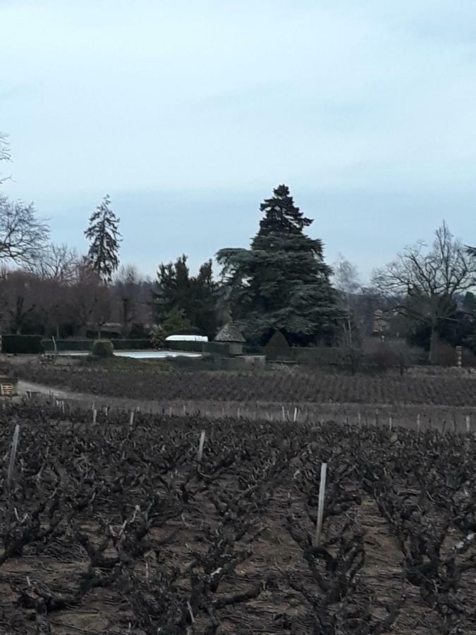 La Maison Des Vignes Charentay Εξωτερικό φωτογραφία