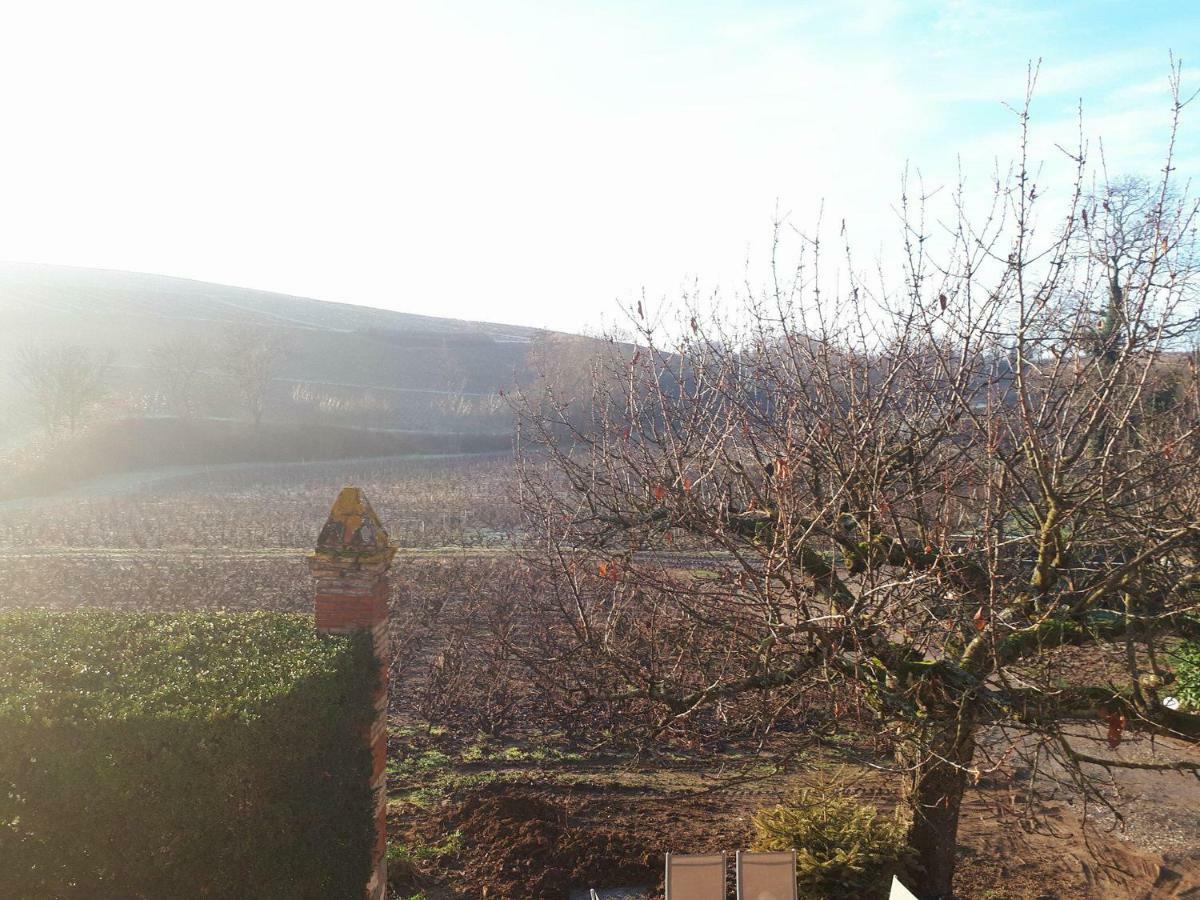 La Maison Des Vignes Charentay Εξωτερικό φωτογραφία